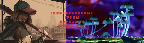 Альфа ПВП Алзамай