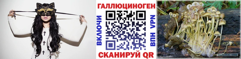 Галлюциногенные грибы MAGIC MUSHROOMS  купить  сайты  ссылка на мегу ссылки  Кировград 